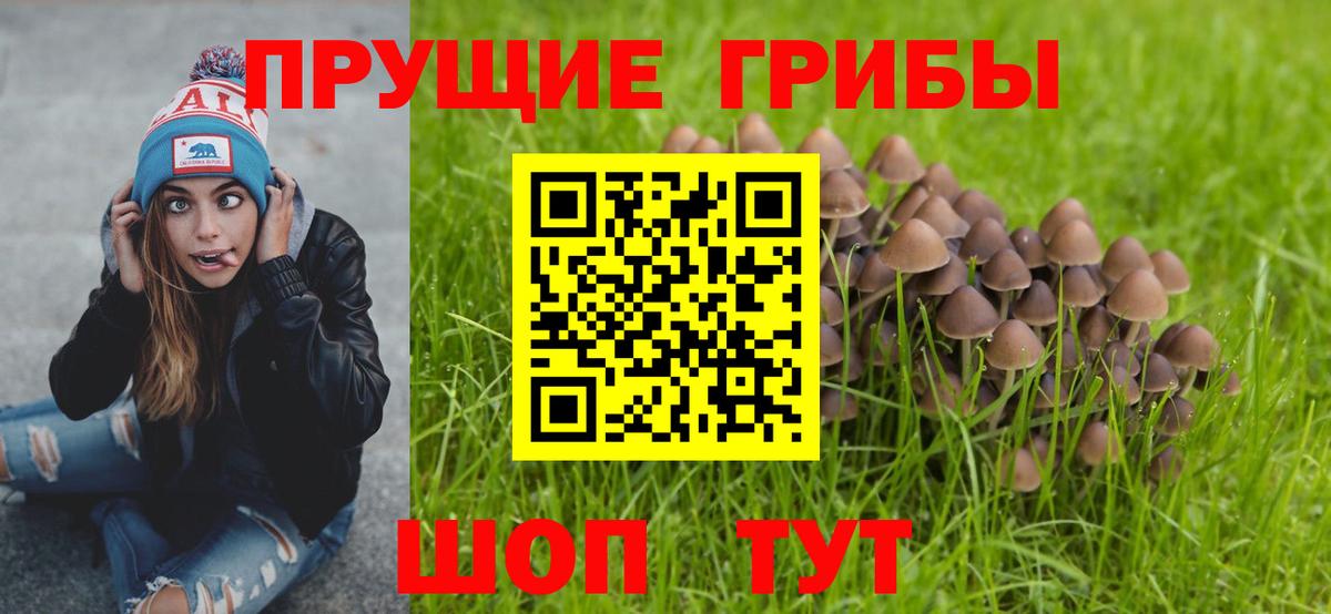 Топки  Псилоцибиновые грибы GOLDEN TEACHER  Вход с VPN 